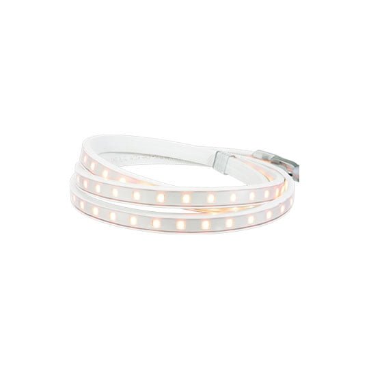 LED Hybrid Linear Light 12 Feet 5000K (Cool)