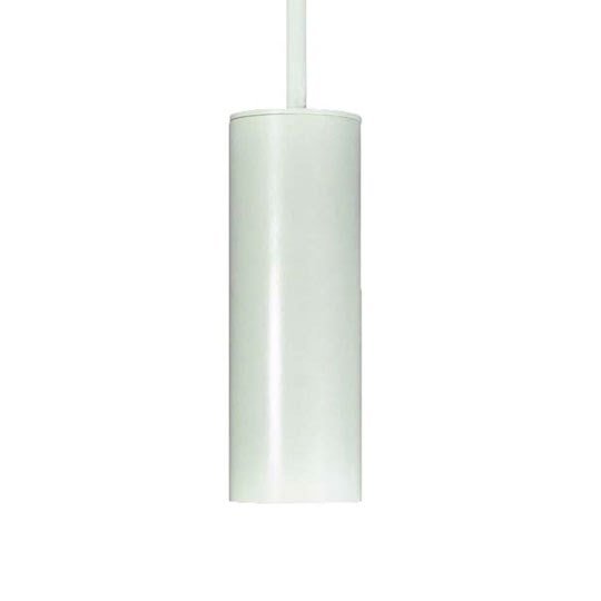 PAR 20 Hanging Pendent, (NO LAMP)