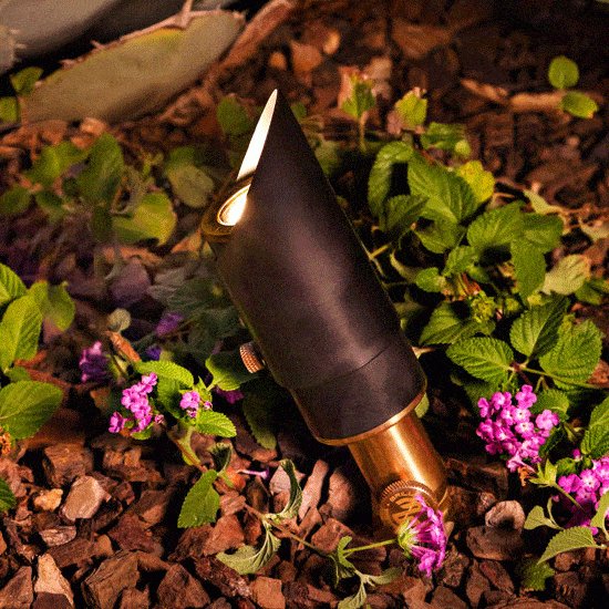 LED Acadia Directional Light