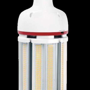 Corn Cob Lamp – 6pcs