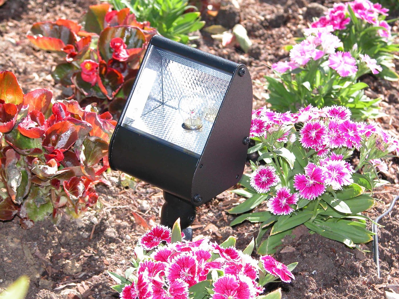 Directional Flood Light 3.5″