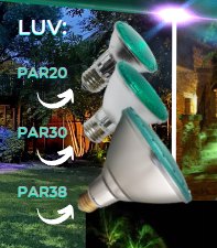 Moonlight LED Lamps