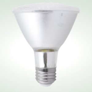 Landscape PAR30 LUV Lamp