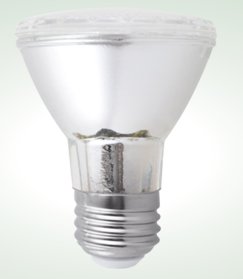 Landscape PAR20 LUV Lamp
