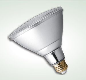 Landscape PAR38 LUV LAMP
