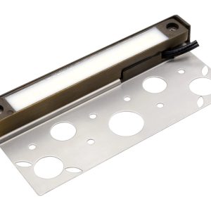 CLS HL09B 7" Solid Cast Brass Integrated LED Hardscape Light (2W)